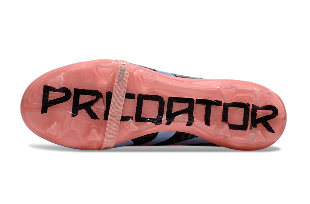 Predator Accuracy FG